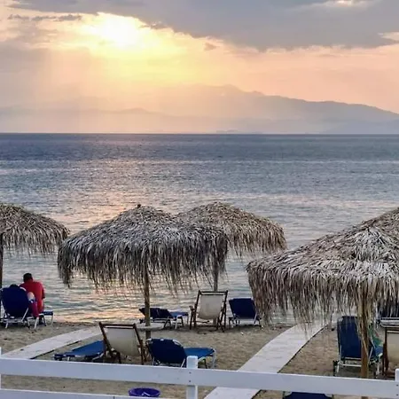 Giotis